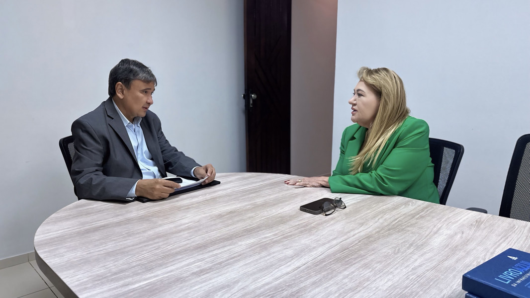Secretria se reuniu com o ministro Wellington Dias