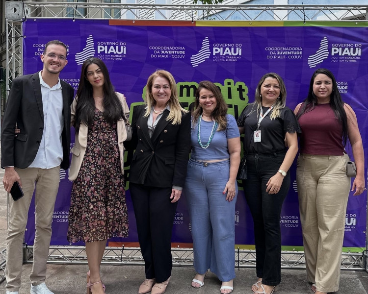 Cendfol apresentou aes institucionais no Summit